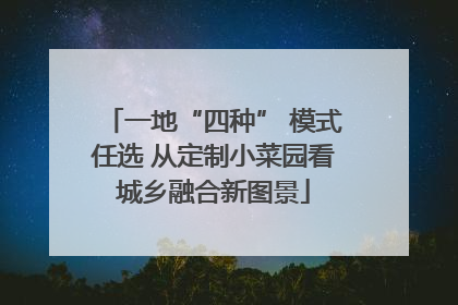 一地“四种” 模式任选 从定制小菜园看城乡融合新图景